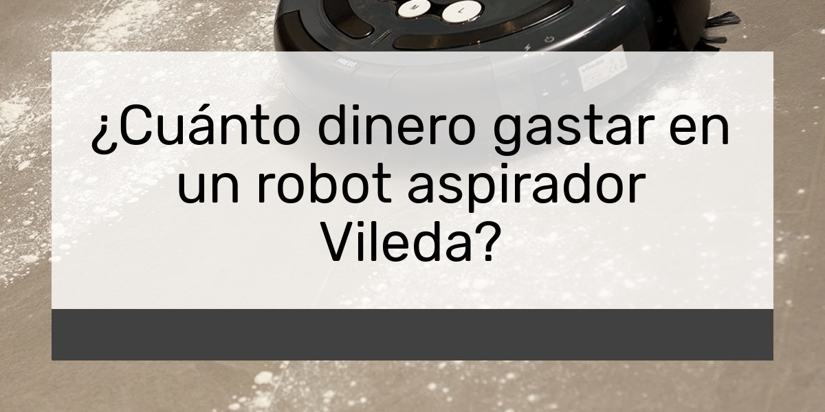 ¿Cuánto dinero gastar en un robot aspirador Vileda?