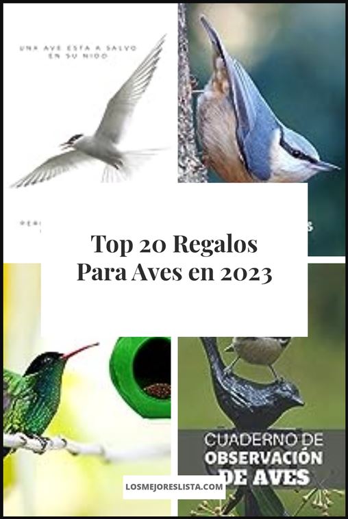 Regalos Para Aves Buying Guide