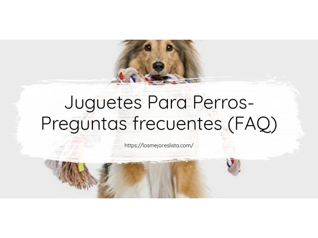 Juguetes Para Perros- Preguntas frecuentes (FAQ)