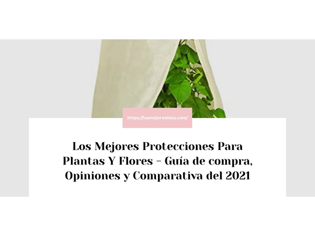 Los 10 Mejores Protecciones Para Plantas Y Flores – Opiniones 2021