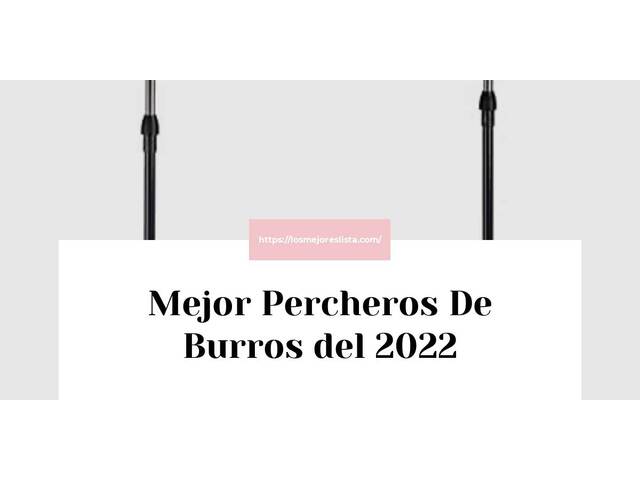 Los 10 Mejores Percheros De Burros – Opiniones 2022