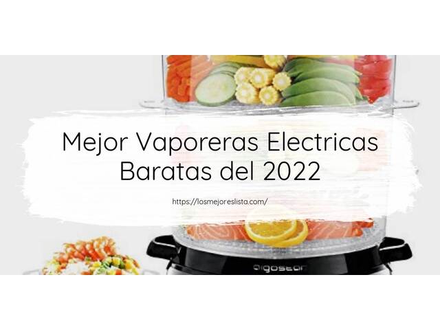 Los 10 Mejores Vaporeras Electricas Baratas – Opiniones 2022