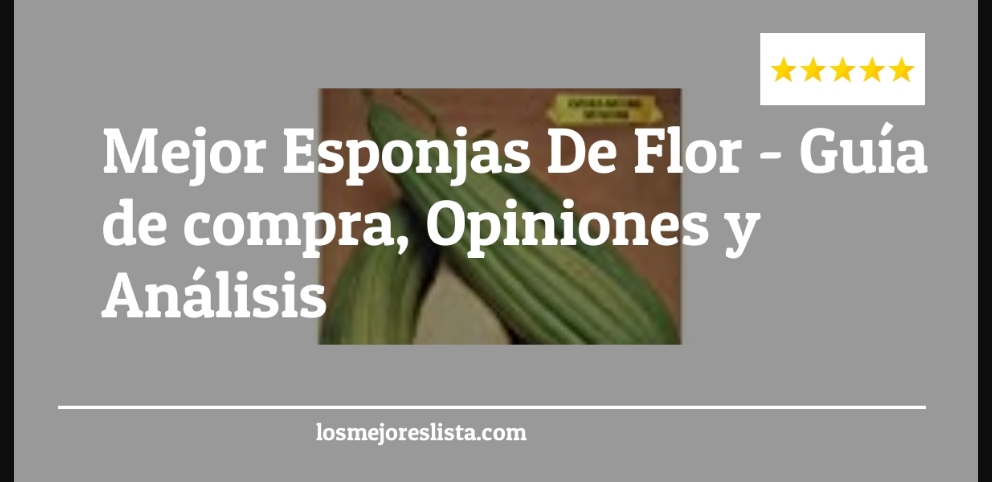 Mejor Esponjas De Flor - Mejor Esponjas De Flor - Guida all’Acquisto, Classifica