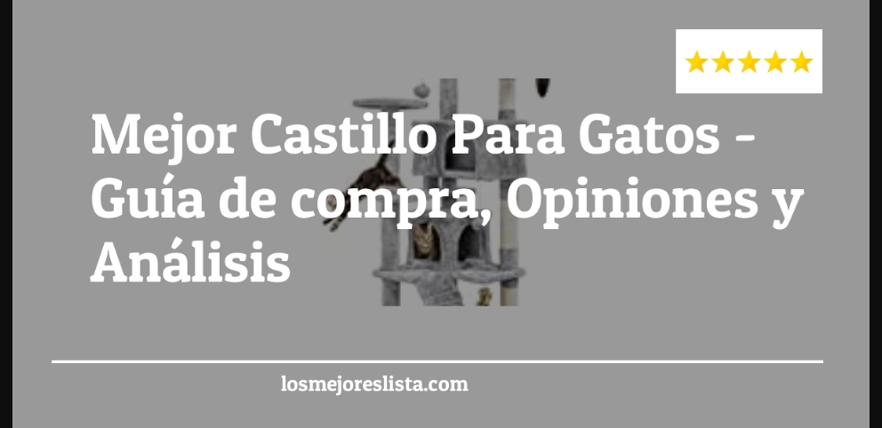 Mejor Castillo Para Gatos - Mejor Castillo Para Gatos - Guida all’Acquisto, Classifica