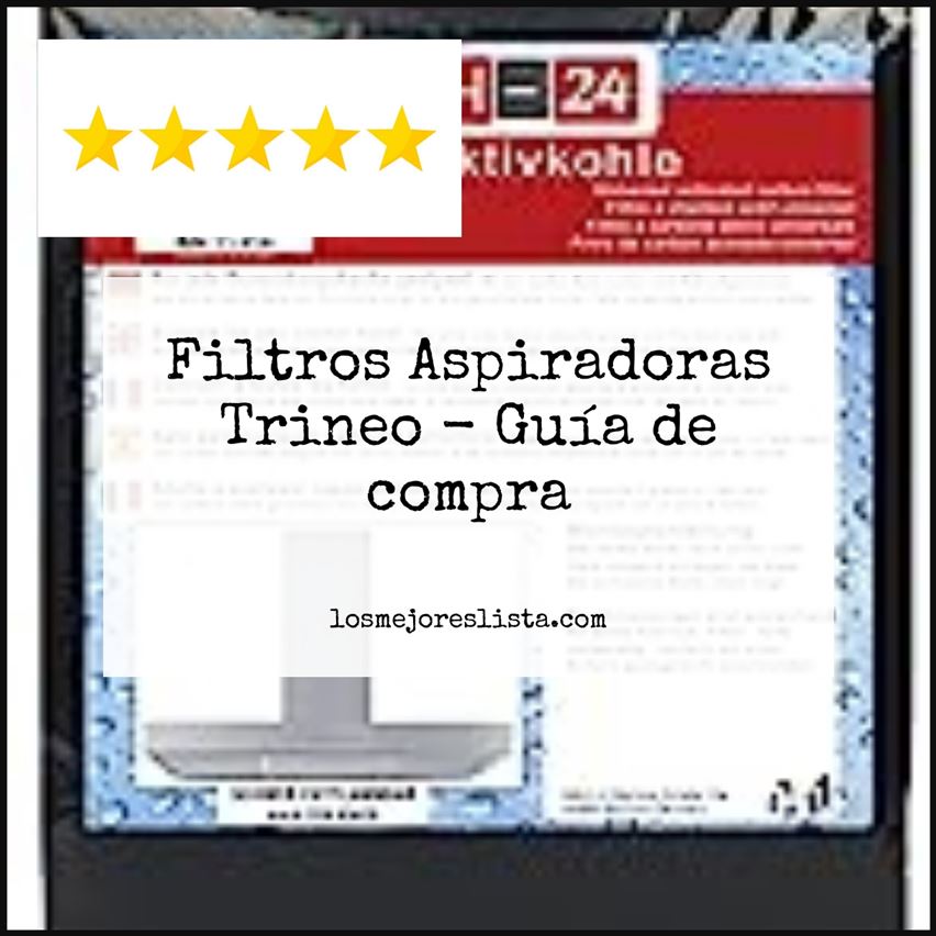 Filtros Aspiradoras Trineo Buying Guide