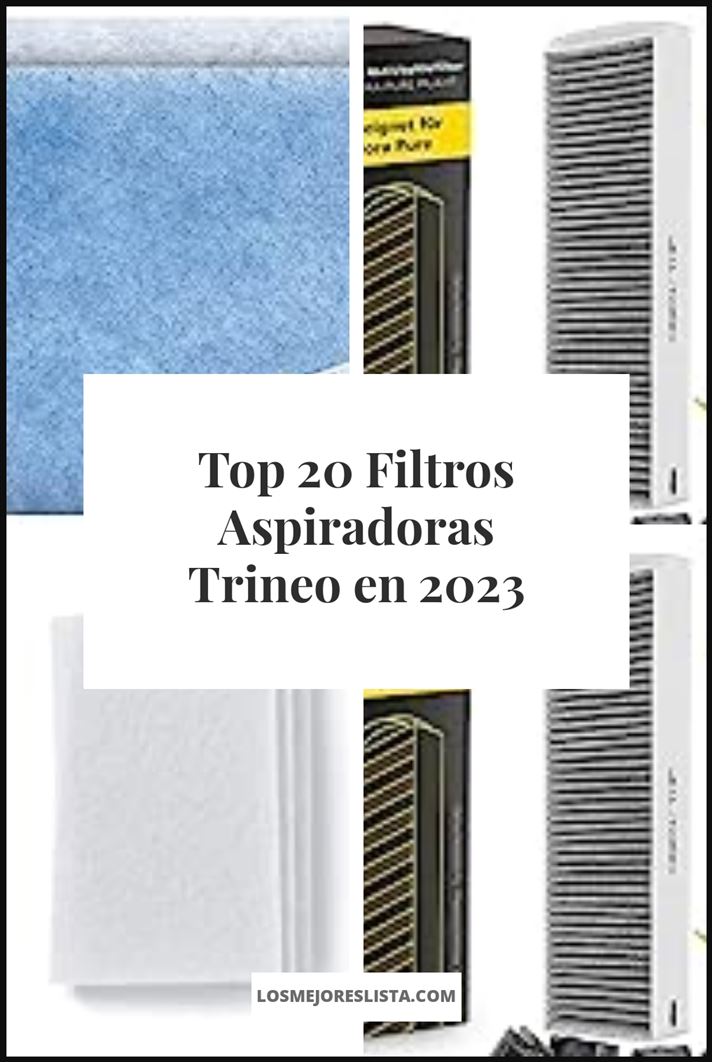 Filtros Aspiradoras Trineo Buying Guide
